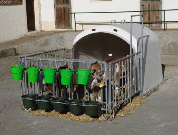 Image sur Niche à veau Premium XL avec cornadis